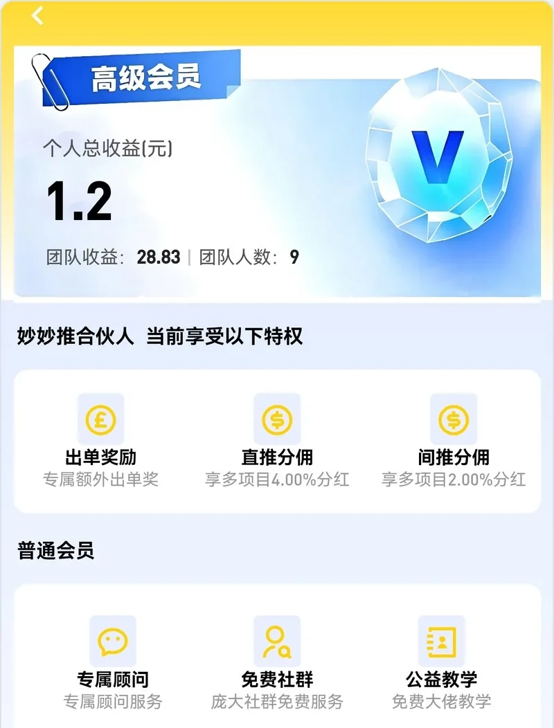 会员权益页面:顶部为高级会员等级卡,显示个人总收益、团队收益与团队人数;中部为妙妙推合伙人的三项特权(出单奖励、直推分佣 4.00%、间推分佣 2.00%);下部为普通会员的三项权益(专属顾问、免费社群、公益教学)
