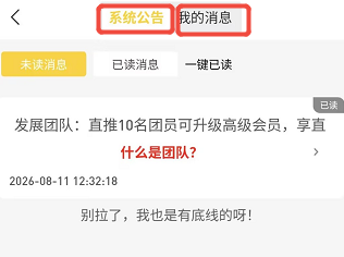 消息中心页面：系统公告与我的消息标签页、未读消息列表示意